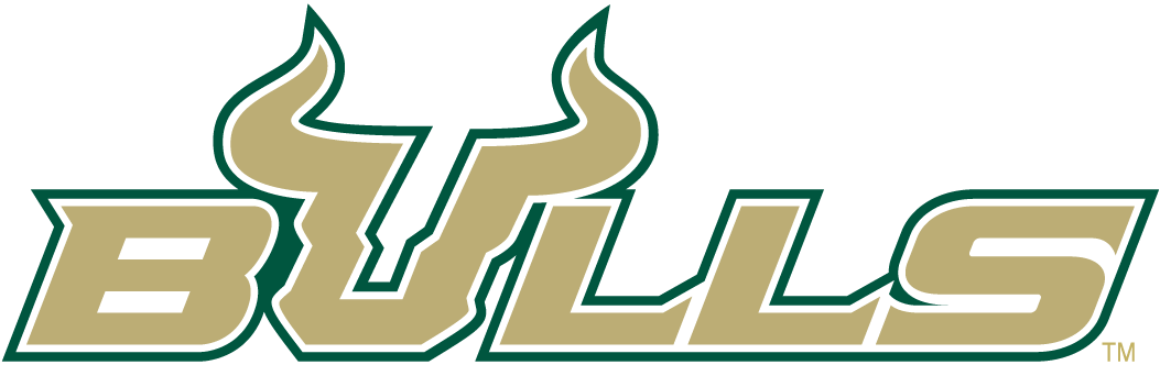 South Florida Bulls 2003-Pres Wordmark Logo v4 iron on transfers for T-shirts